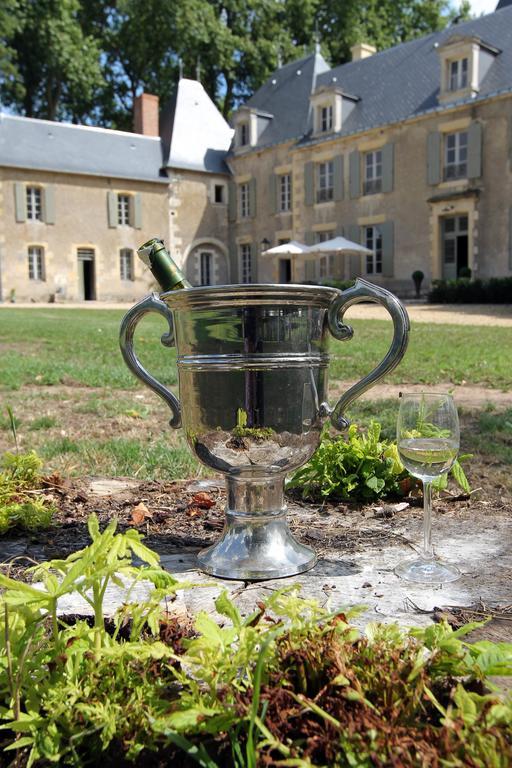 Chateau De Planchevienne Magny-Cours Exterior foto